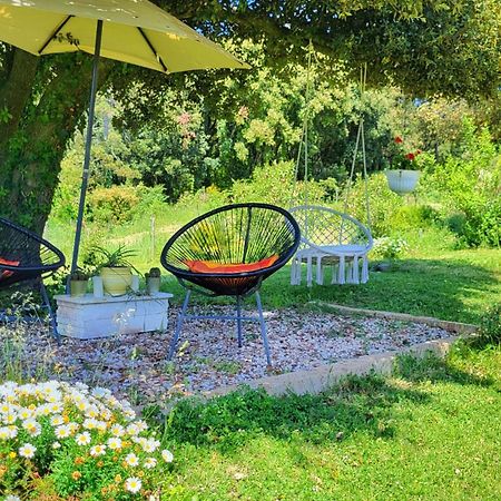 Agriturismo Podere Le Palaie Monterotondo  Eksteriør bilde