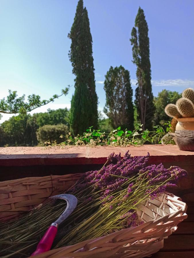 Agriturismo Podere Le Palaie Monterotondo  Eksteriør bilde