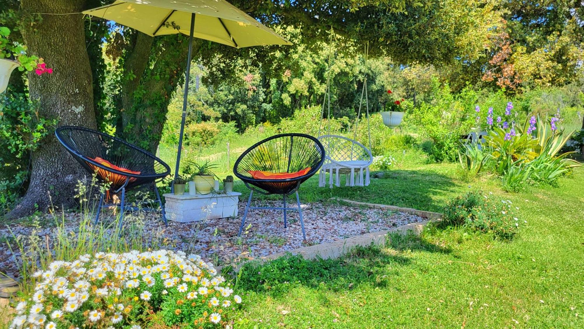 Agriturismo Podere Le Palaie Monterotondo  Eksteriør bilde